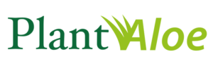 Logo Plant Aloe